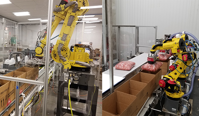 Case Packaging Robot